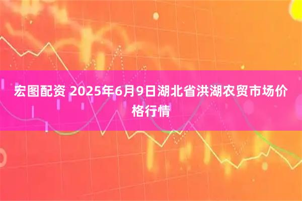宏图配资 2025年6月9日湖北省洪湖农贸市场价格行情