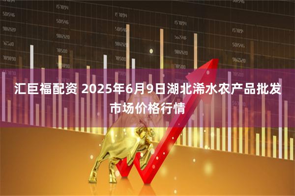 汇巨福配资 2025年6月9日湖北浠水农产品批发市场价格行情