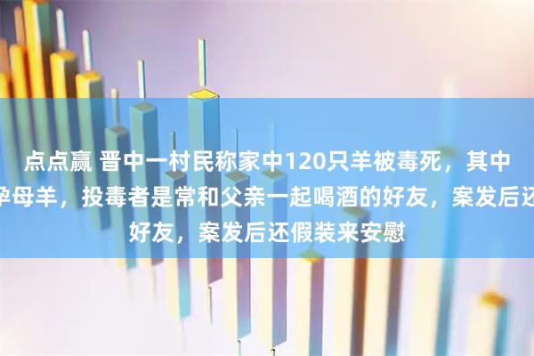 点点赢 晋中一村民称家中120只羊被毒死,其中110只是怀孕母羊,投毒者是常和父亲一起喝酒的好友,案发后还假装来安慰