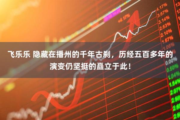 飞乐乐 隐藏在播州的千年古刹，历经五百多年的演变仍坚挺的矗立于此！