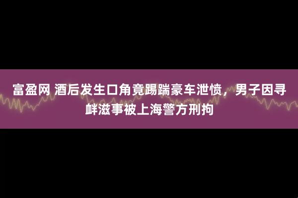 富盈网 酒后发生口角竟踢踹豪车泄愤，男子因寻衅滋事被上海警方刑拘