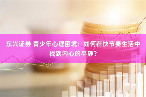 东兴证券 青少年心理困境：如何在快节奏生活中找到内心的平静？